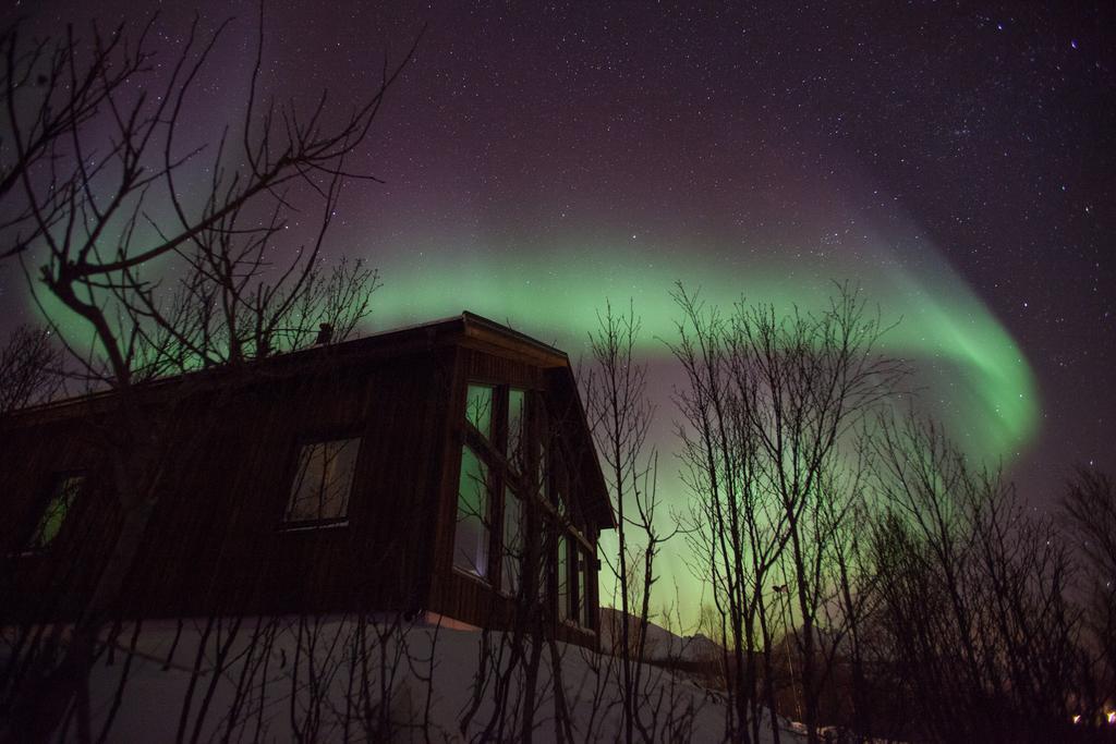 Aurora View Cabin Lyngseidet Exterior photo