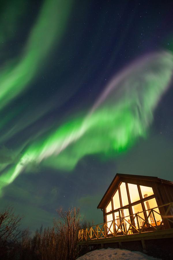 Aurora View Cabin Lyngseidet Exterior photo